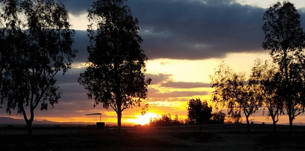 Purcell Has Perfect Weekend at Buttonwillow Raceway Park